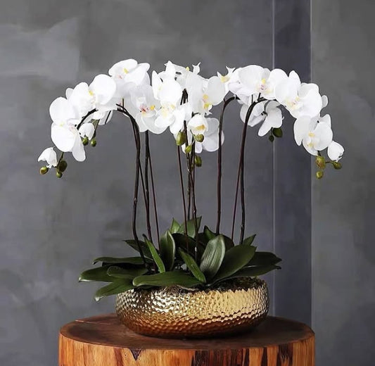 Flora & Co